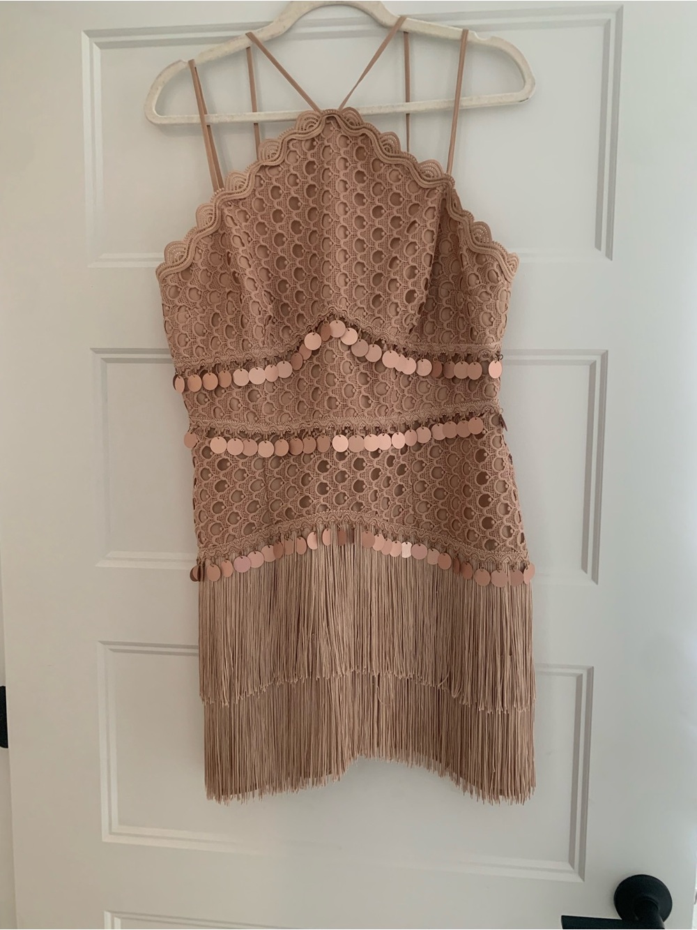 ASOS Blush Lace Fringe Party Dress with Sequin Bands